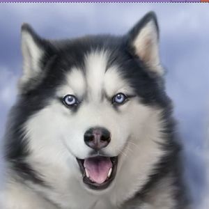 Meet your Posher, Mindy